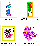廨